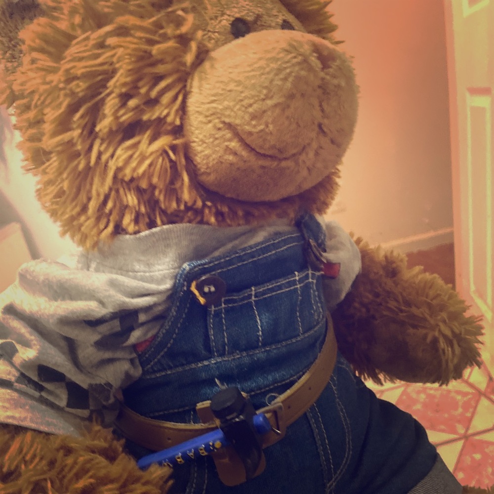 Build a bear